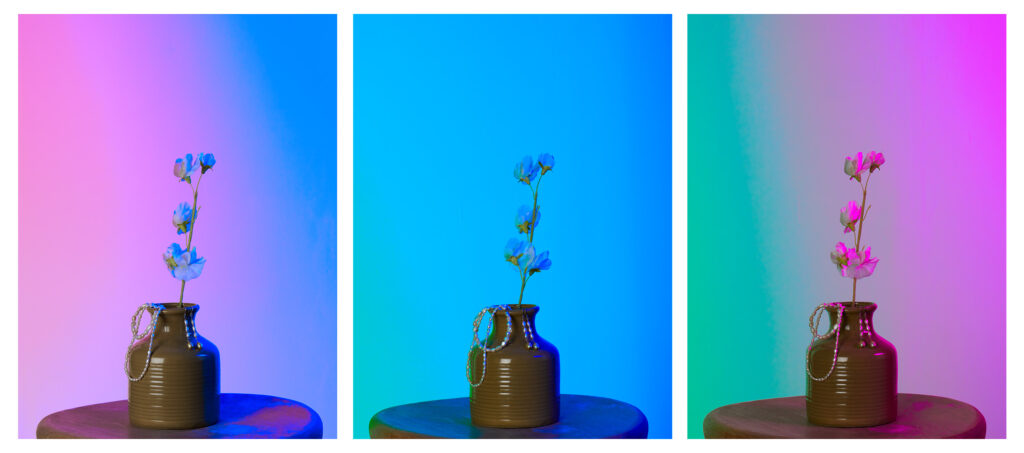 Triptych of gradient lighting examples in photography at Capture Factory. Subject is vase of flowers and jewellery.